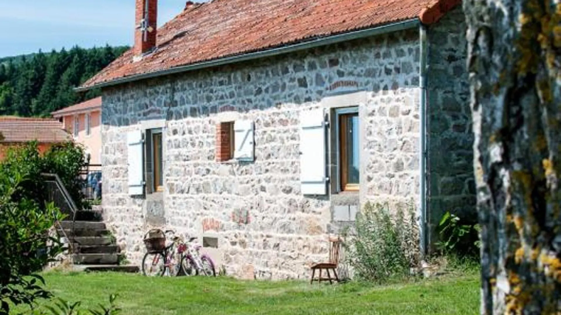 Charmant Gite Avec Terrasse Et Piscine, Ferme Familiale, Produits Locaux, Animaux Acceptes - Fr-1-496-143 Saint-Andre-d'Apchon France