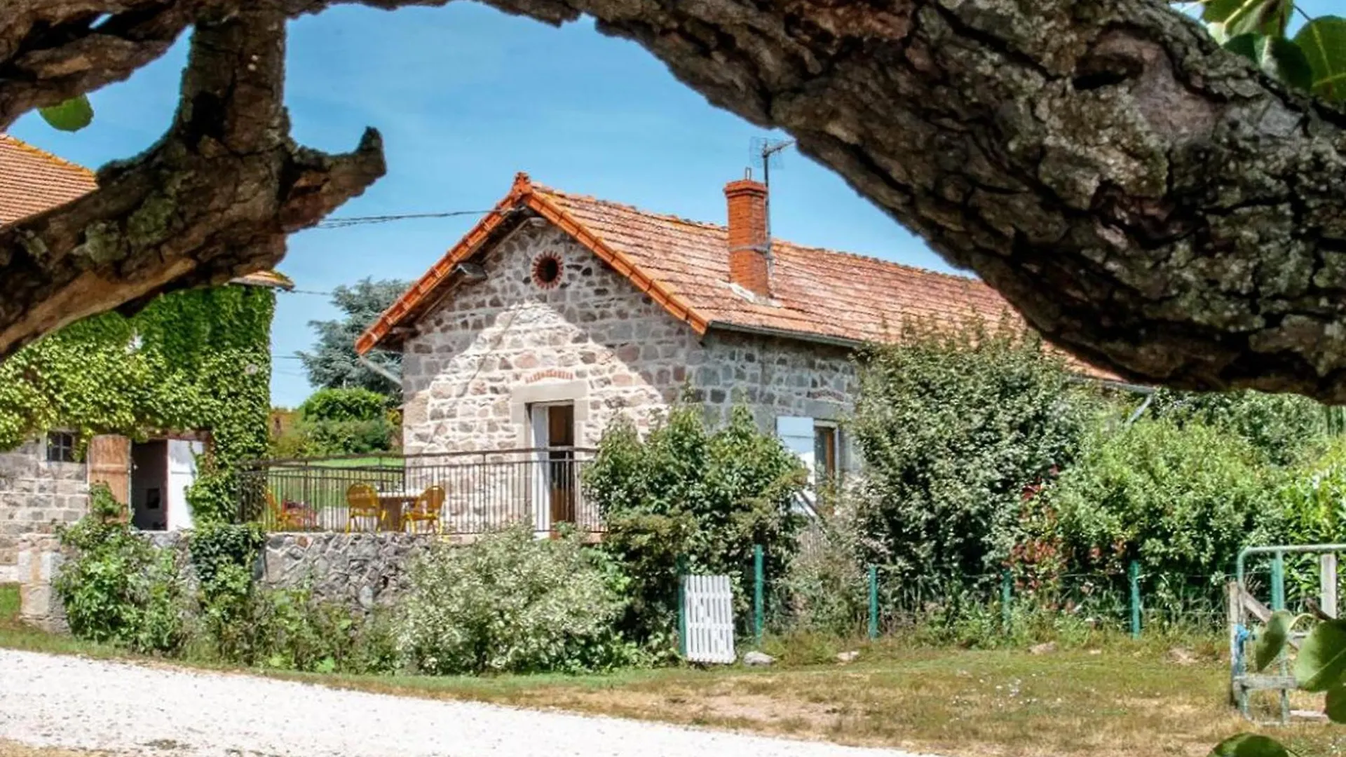 Charmant Gite Avec Terrasse Et Piscine, Ferme Familiale, Produits Locaux, Animaux Acceptes - Fr-1-496-143 Saint-Andre-d'Apchon 0*,